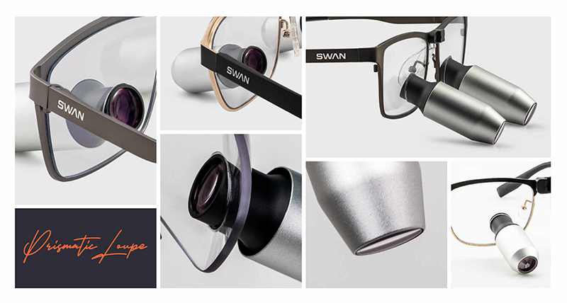 SWAN 19.jpg
